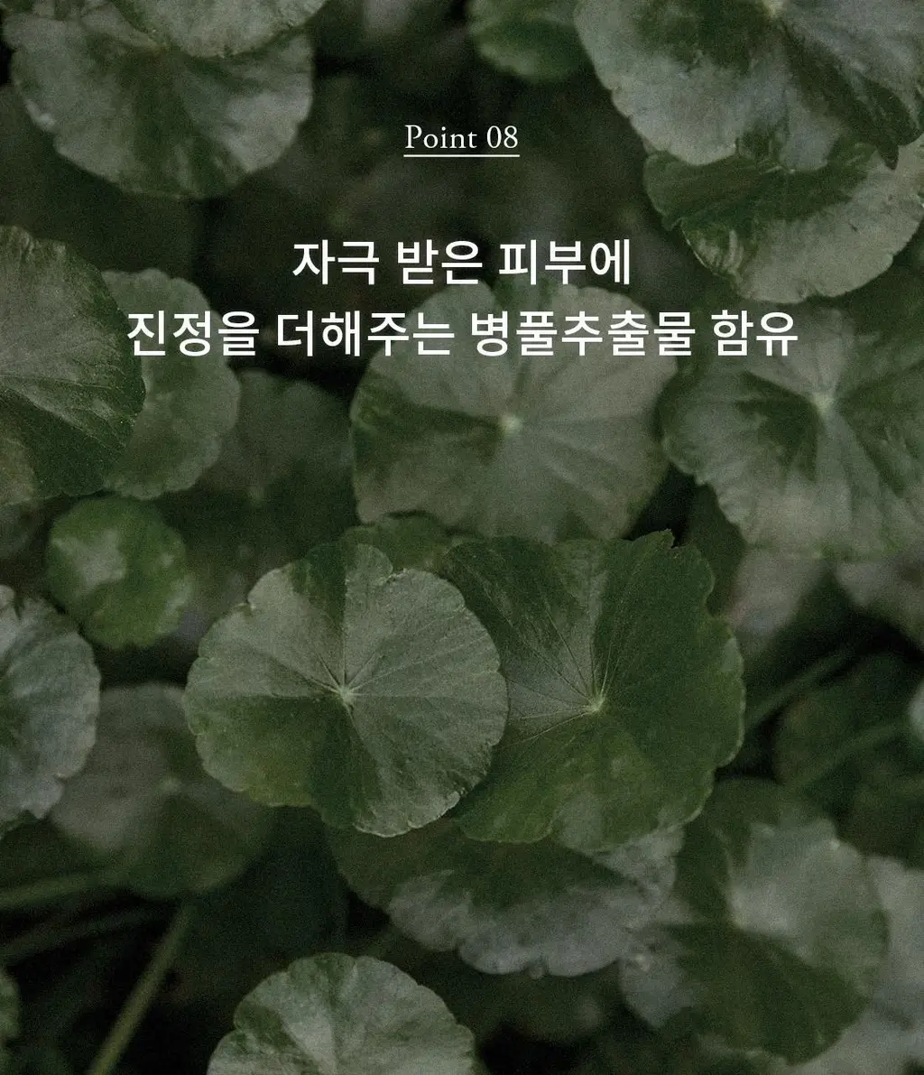 [저자극/이지워시]프롬리에 EGF 시카 무기자차 선스크린 60g 상세페이지 26